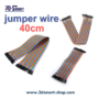 Jumper Wire 40cm